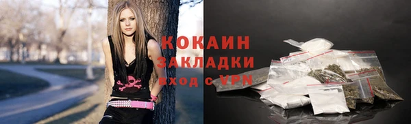 шишки Бугульма