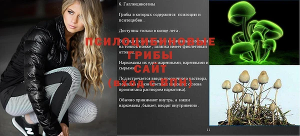 2c-b Пересвет