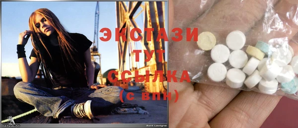тгк Бородино