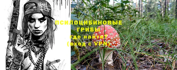 тгк Бородино