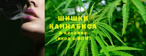 стаф Богородск