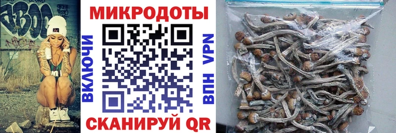 Псилоцибиновые грибы GOLDEN TEACHER  Менделеевск 